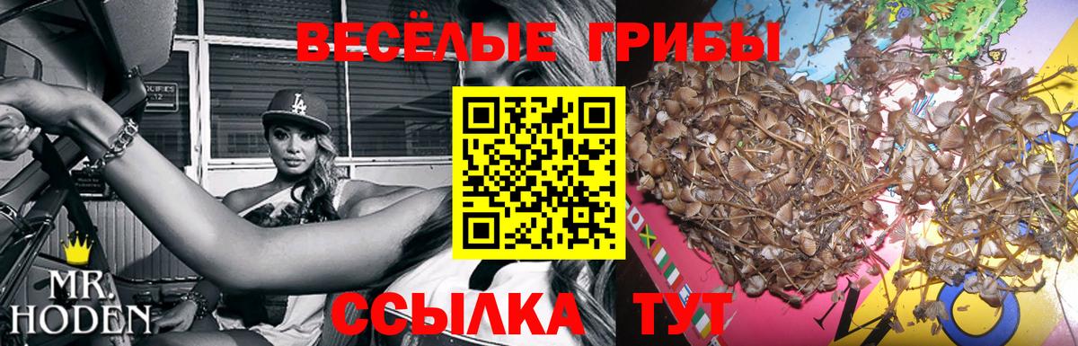Галлюциногенные грибы прущие грибы  Галлюциногенные грибы Psilocybe  Трёхгорный  Вход с VPN 